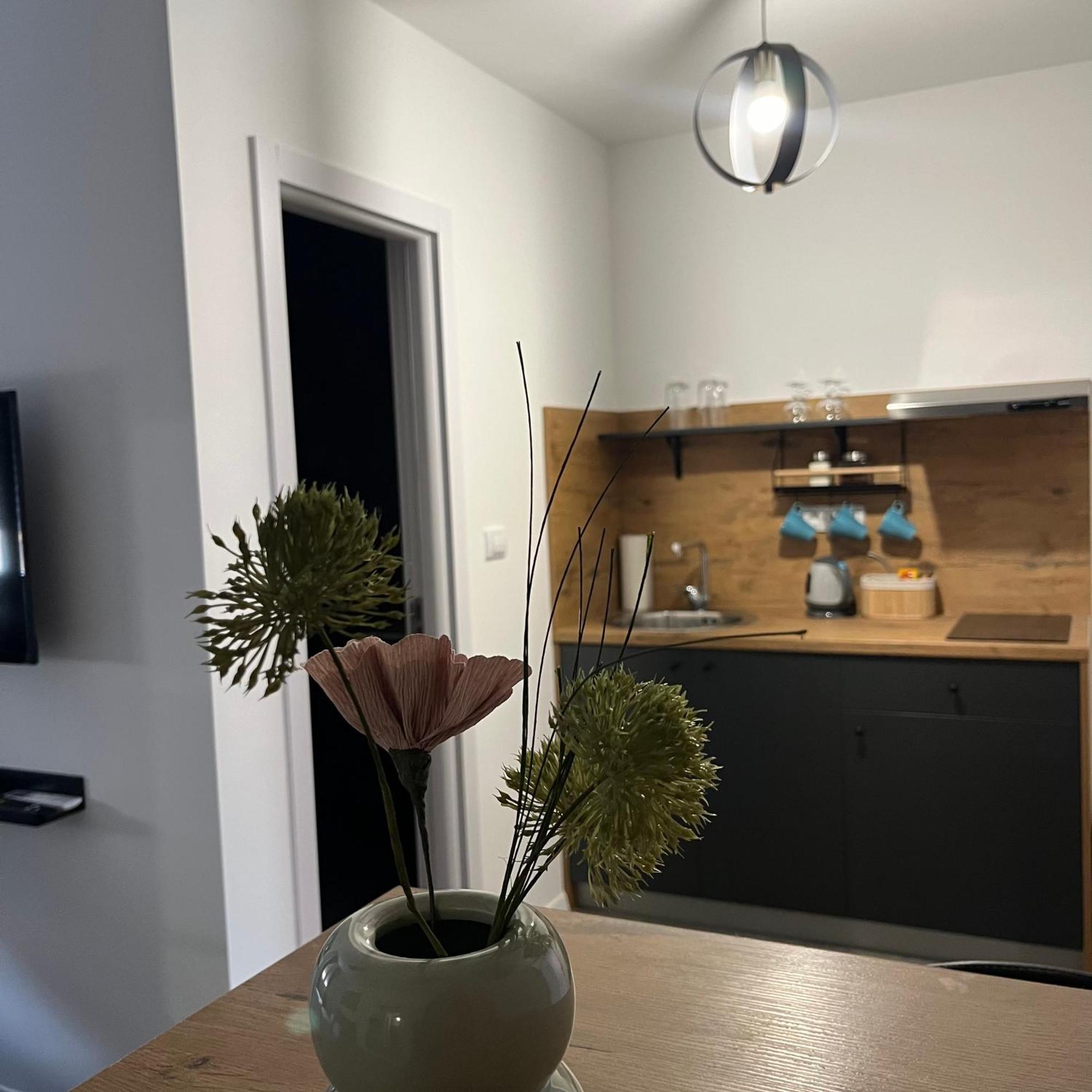 Beoair Apartments Surcin Екстер'єр фото